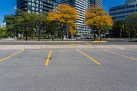 an empty parking lot with trees and buildings in the background in a city area and empty space for a parking lot