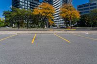 an empty parking lot with trees and buildings in the background in a city area and empty space for a parking lot