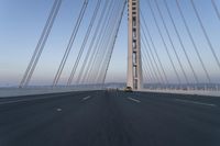Straight Down the Road at Dawn