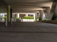 an empty walkway leading from an office building into the city below it and surrounding the plants and trees