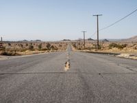 Straight Down The Road in California Desert