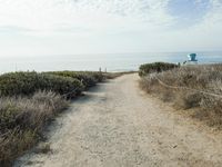 Straight Down the Road to the Coastal Horizon