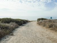 Straight Down the Road to the Coastal Horizon