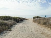 Straight Down the Road to the Coastal Horizon