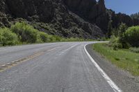 Straight Down the Road: Colorado Forest and Grass