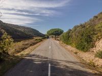 Straight Down the Road in Rural Portugal
