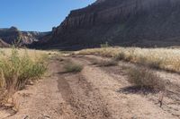 an open dirt road through a dry grass field under a mountain view with sun shining off the side