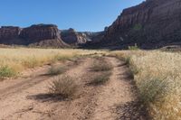 an open dirt road through a dry grass field under a mountain view with sun shining off the side