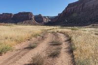 an open dirt road through a dry grass field under a mountain view with sun shining off the side