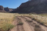 an open dirt road through a dry grass field under a mountain view with sun shining off the side