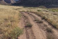 an open dirt road through a dry grass field under a mountain view with sun shining off the side