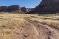 an open dirt road through a dry grass field under a mountain view with sun shining off the side