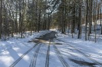 Straight Down the Road in Winter Forest, Canada