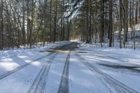 Straight Down the Road in Winter Forest, Canada