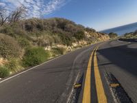 Straight Down the Road: Big Sur on the Pacific Coast Highway