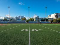 the soccer field that looks like a stadium with buildings in the background and the numbers 50