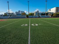 the soccer field that looks like a stadium with buildings in the background and the numbers 50