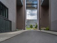 an empty street between two tall buildings and some bushes in front of them are two blocks high