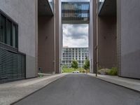 an empty street between two tall buildings and some bushes in front of them are two blocks high