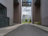 an empty street between two tall buildings and some bushes in front of them are two blocks high