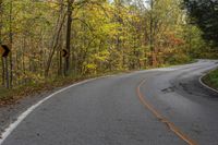 a curved road in a wooded area during the fall season is pictured on the right