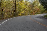 a curved road in a wooded area during the fall season is pictured on the right