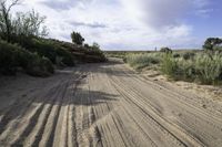 a dirt road and some trees in the desert or outside the city on a clear day