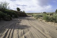 a dirt road and some trees in the desert or outside the city on a clear day