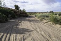 a dirt road and some trees in the desert or outside the city on a clear day