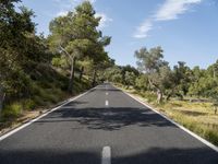 the empty road runs along a hillside between some trees and bushes with many trees growing on it