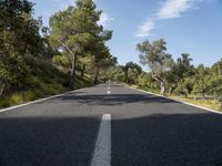 the empty road runs along a hillside between some trees and bushes with many trees growing on it