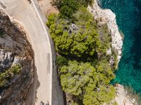 a car driving on the side of a mountain road next to trees and ocean water