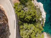 a car driving on the side of a mountain road next to trees and ocean water