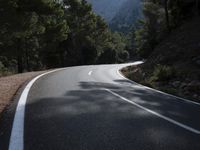 the white line is in front of a forest on the side of a road, and the red line is at the top