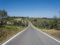 a highway in the middle of the countryside with green and white fields and olive trees on either side