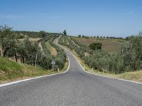 a highway in the middle of the countryside with green and white fields and olive trees on either side