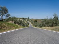 a highway in the middle of the countryside with green and white fields and olive trees on either side