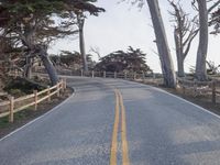 Straight Down the Road: A Winter Landscape