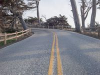 Straight Down the Road: A Winter Landscape