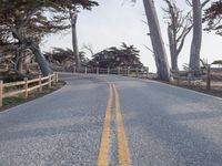 Straight Down the Road: A Winter Landscape