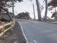 Straight Down the Road: A Winter Landscape