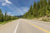 the back view of a motorcycle driving along a road with many trees in the background