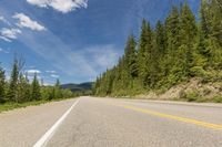 the back view of a motorcycle driving along a road with many trees in the background