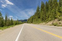 the back view of a motorcycle driving along a road with many trees in the background