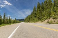 the back view of a motorcycle driving along a road with many trees in the background