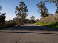 Straight Down the Road: An Asphalt Journey through L.A.