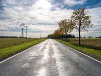 Straight Road Through the Autumn Landscape in Berlin, Germany