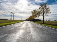 Straight Road Through the Autumn Landscape in Berlin, Germany