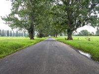 Straight Road in Bega Valley, New South Wales, Australia