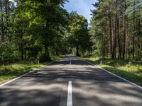 an empty, empty, street in the middle of some trees and the road is dotted with a white line